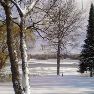 Meet your Posher, Janice